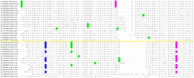 Figure 13