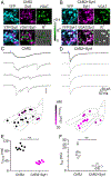 Figure 6: