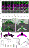 Figure 5: