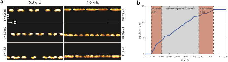 Fig. 11.