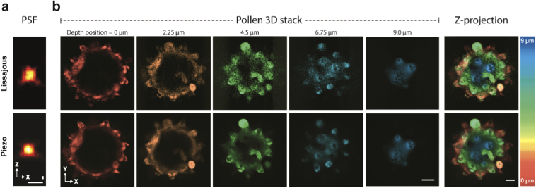 Fig. 9.