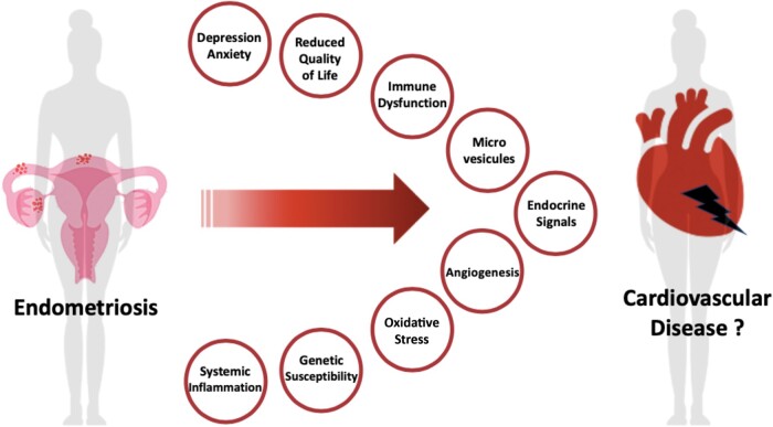 Graphical Abstract