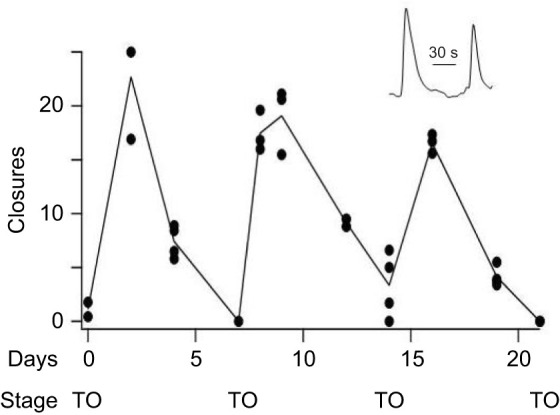 Fig. 3.