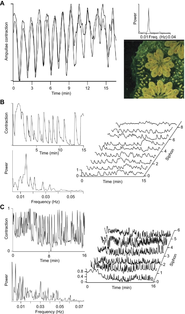 Fig. 4.