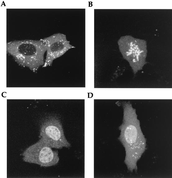 FIG. 6