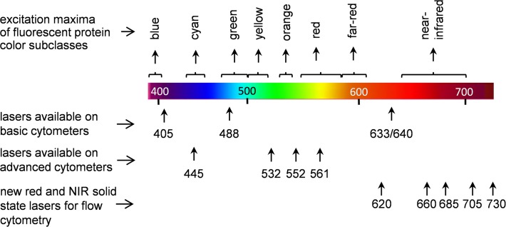 Fig 1