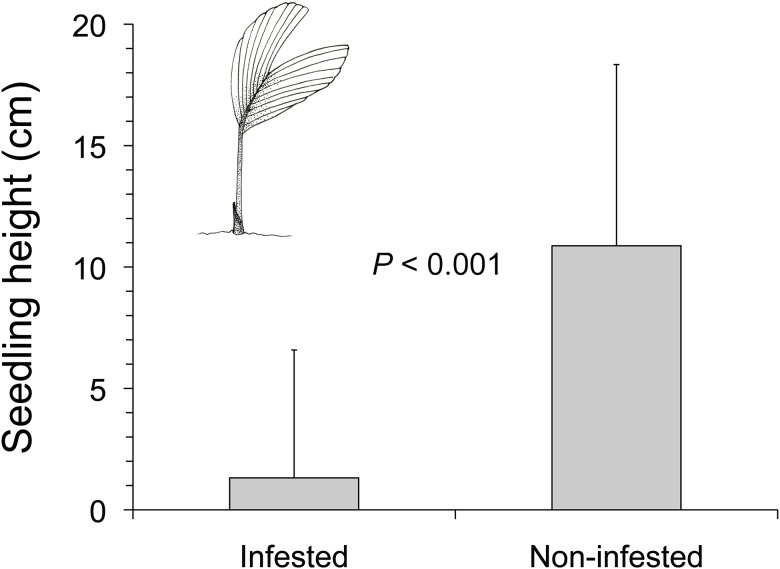 Fig 5