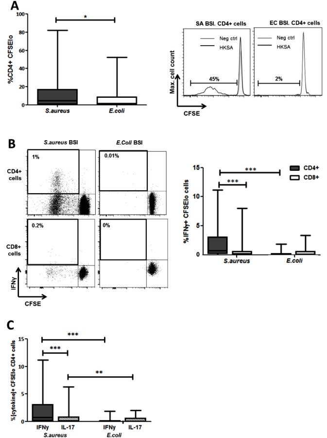 Fig 5