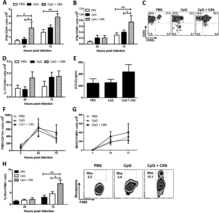 Fig 10