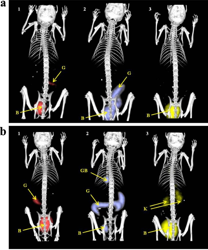 Fig. 3