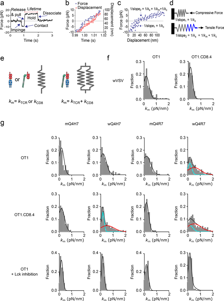 Figure 2 |