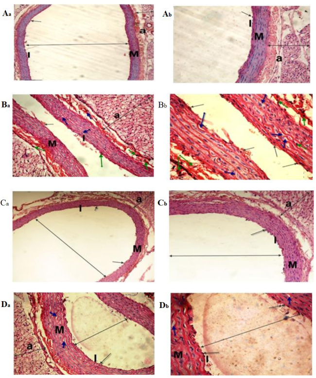 Figure 6.