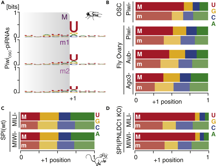 Figure 3