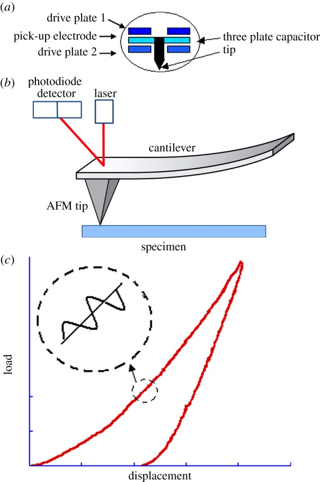 Figure 1.