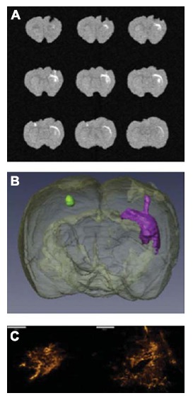 Fig. (3)