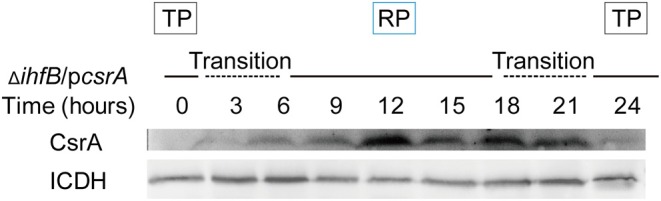 Figure 9