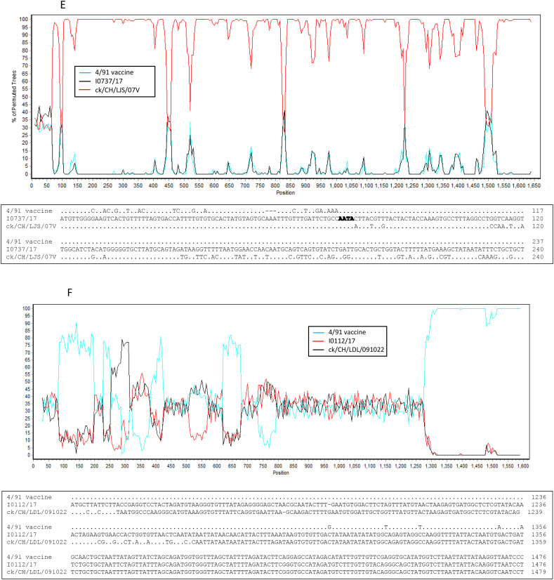 Fig. 4