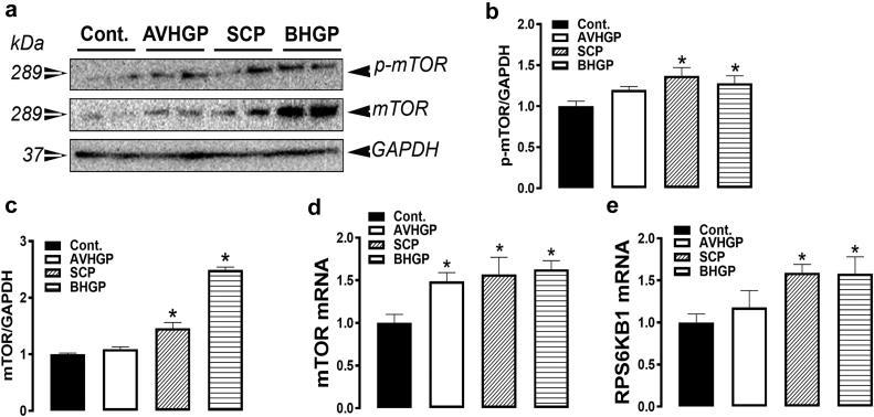 Figure 5