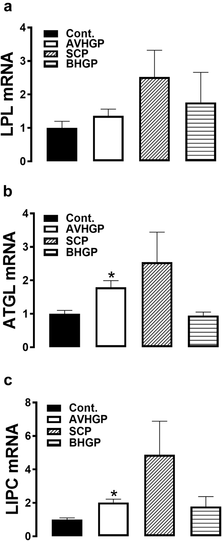 Figure 3