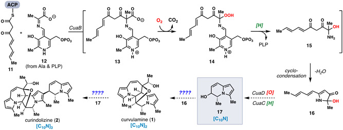 Figure 2.