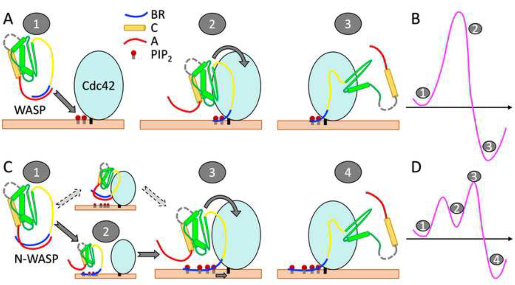 Figure 5.