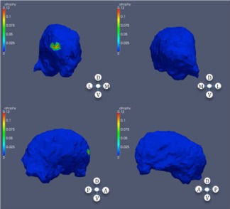 Figure 6