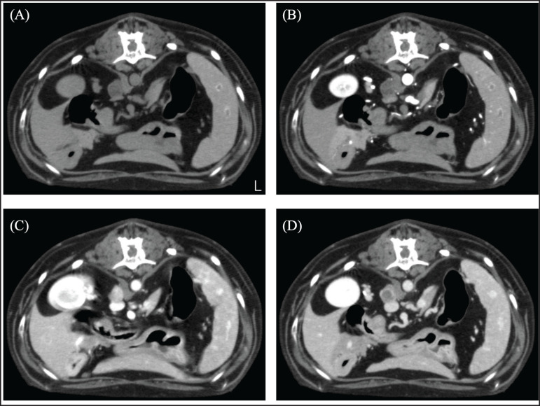 Fig. 3.