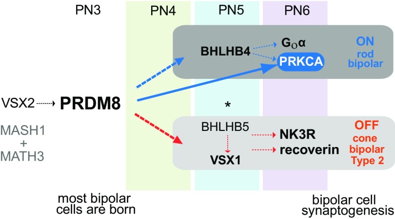 Fig. 8.