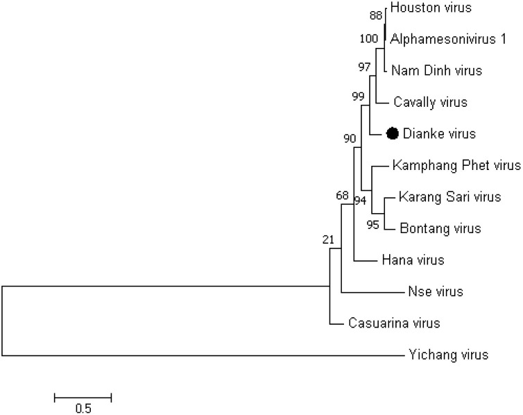 Fig. 2