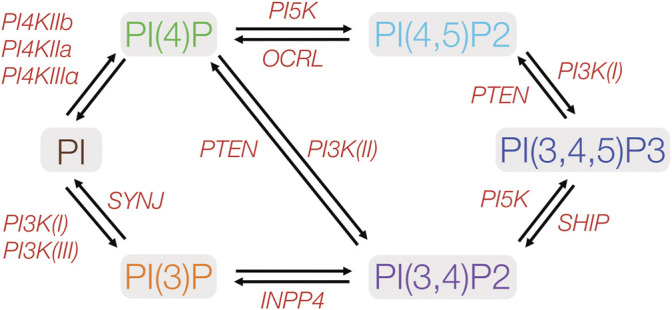 FIGURE 2