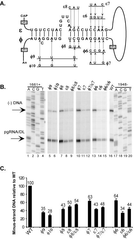 FIG. 6.