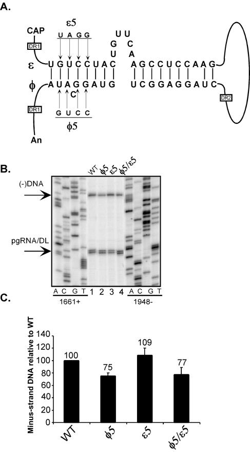 FIG. 5.