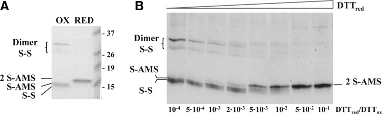 FIG. 6.