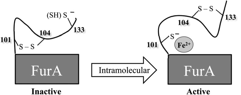 FIG. 9.