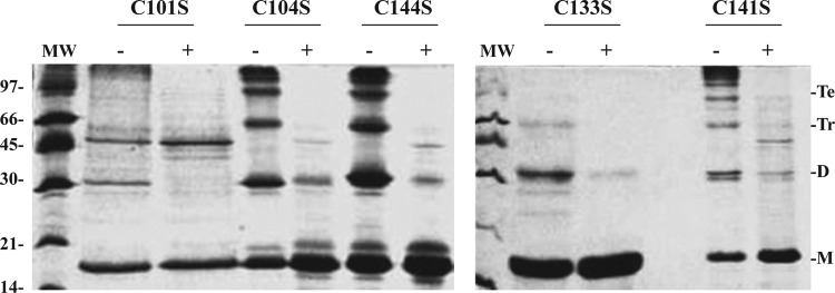 FIG. 4.