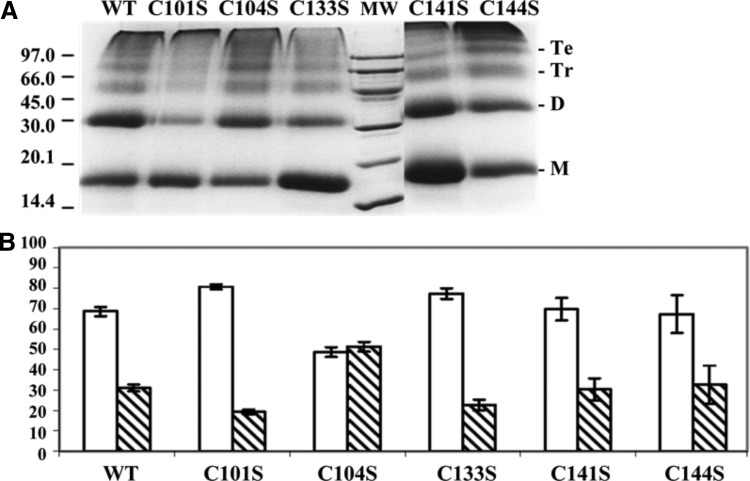 FIG. 7.