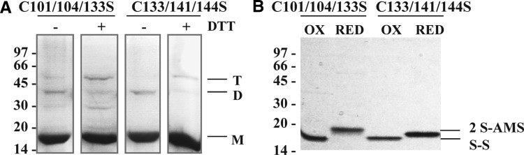 FIG. 5.