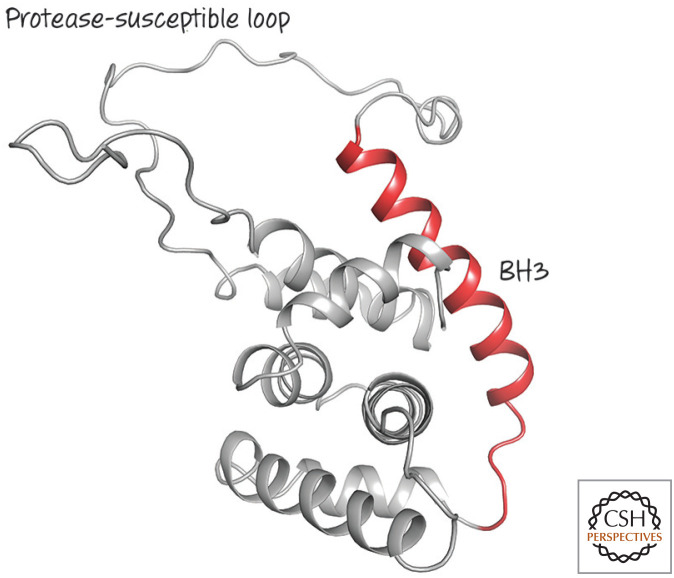 Figure 19.