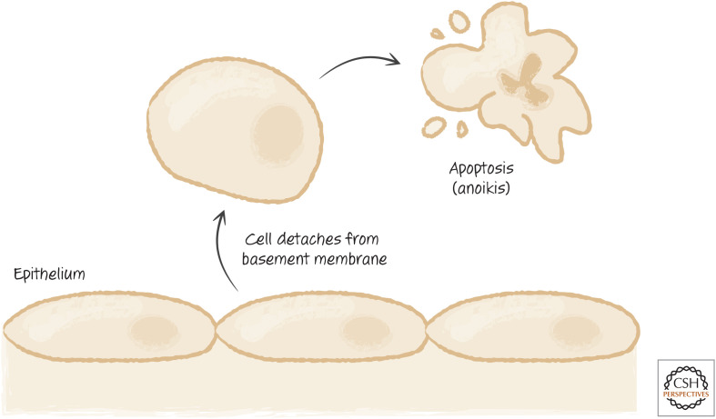 Figure 23.