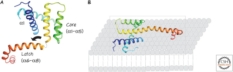 Figure 11.