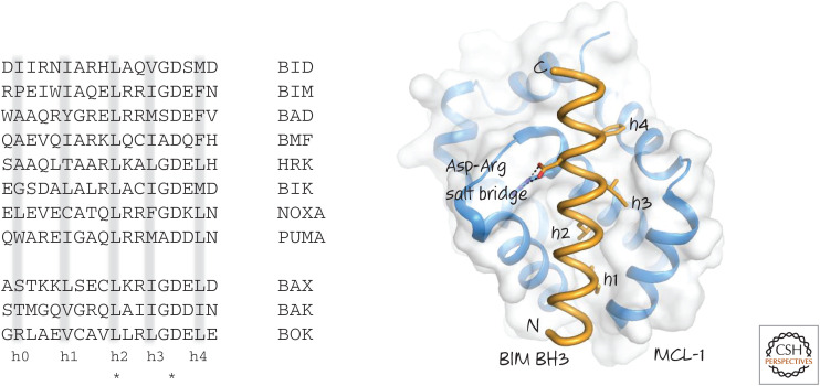 Figure 9.