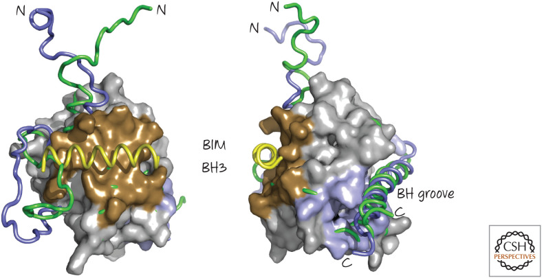 Figure 13.