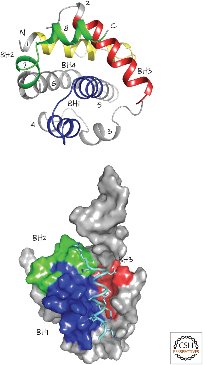 Figure 4.