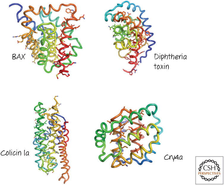 Figure 30.