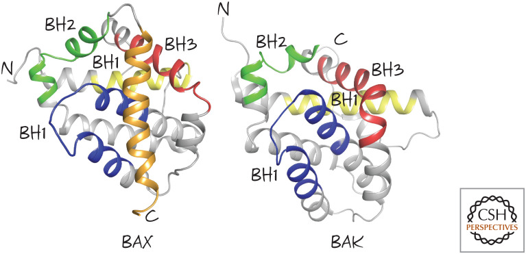 Figure 5.