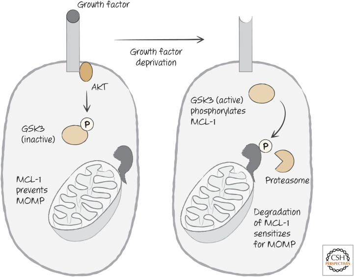 Figure 24.