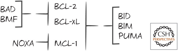 Figure 10.