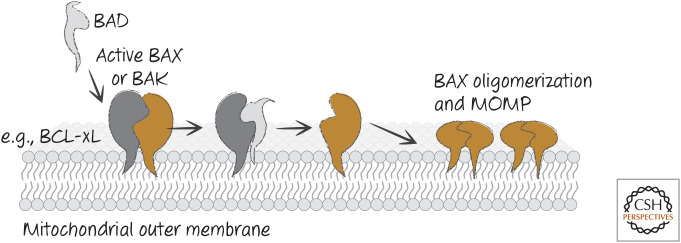 Figure 15.