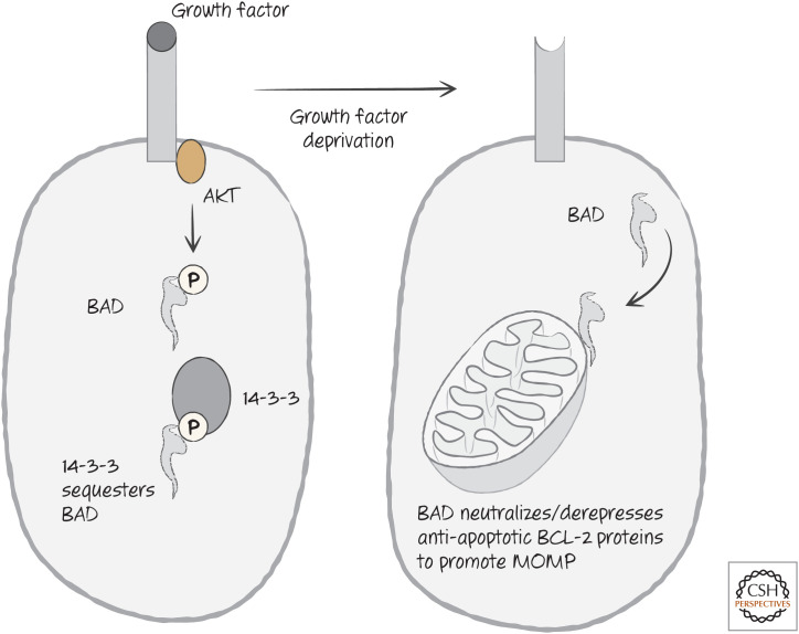 Figure 22.