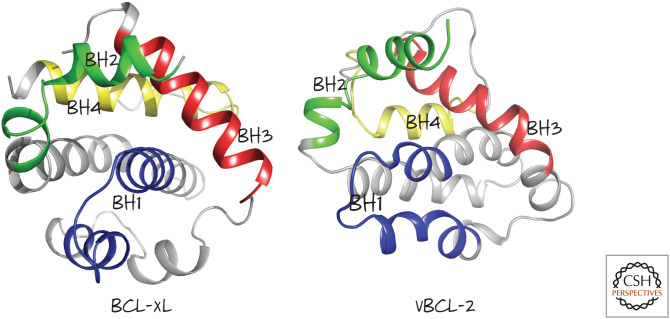 Figure 29.